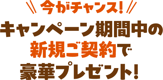 今がチャンス！キャンペーン期間中の新規ご契約で豪華プレゼント！
